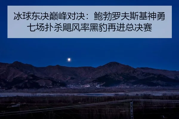 冰球东决巅峰对决：鲍勃罗夫斯基神勇七场扑杀飓风率黑豹再进总决赛